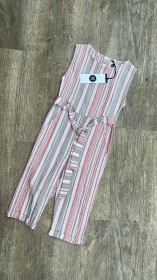 جمبسوت مخطط طولي